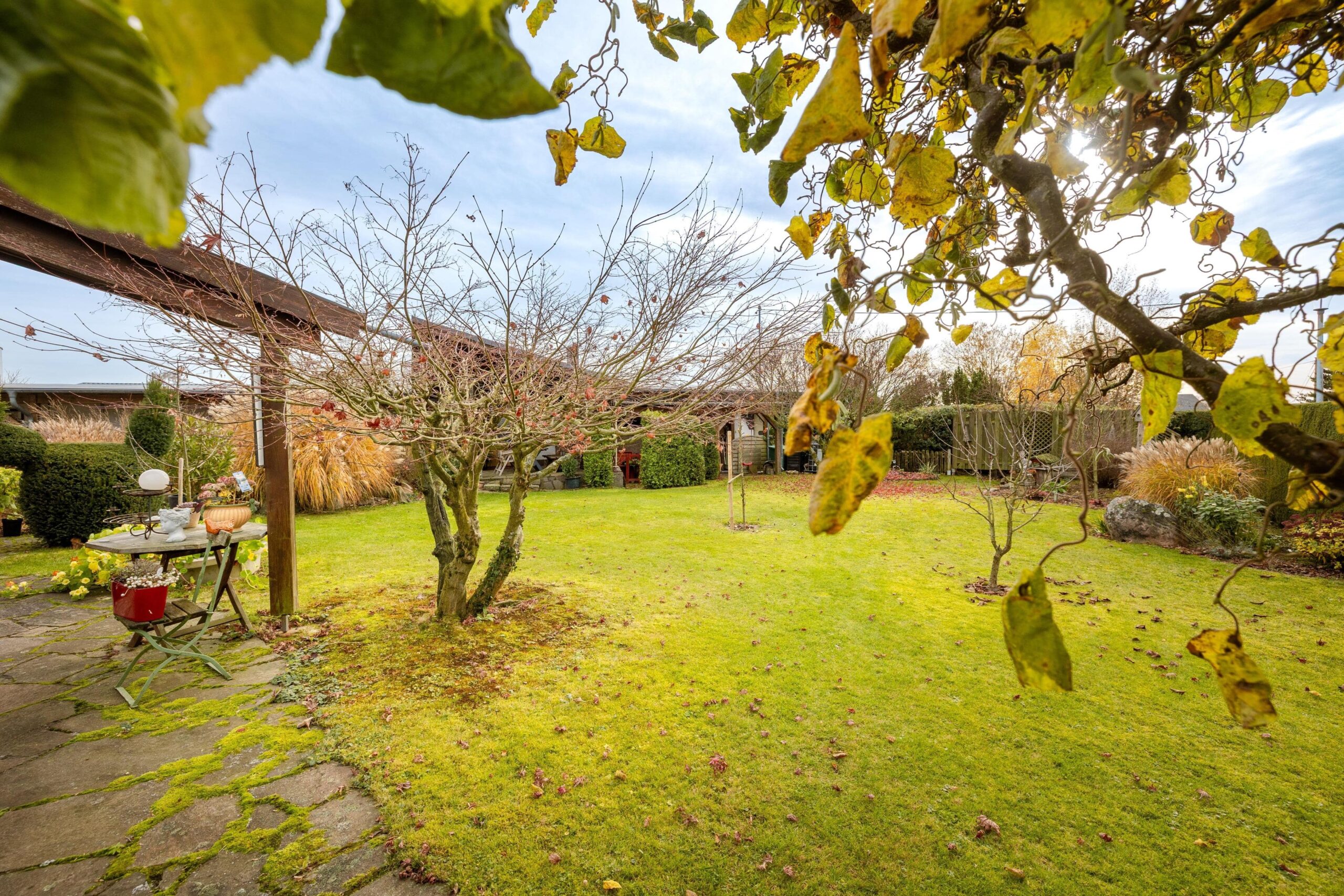 Gepflegter Garten & Wiese