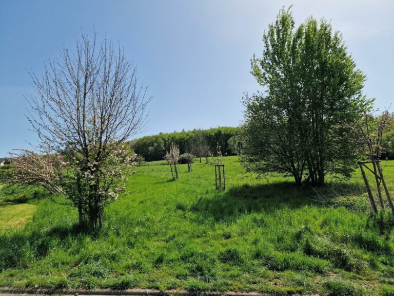 Barrierefreie Neubau – Eigentumswohnung KfW 55 !